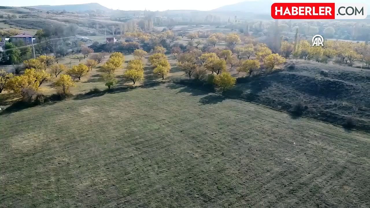 Tekelti Dağı Sonbahar Renkleriyle Büyülüyor