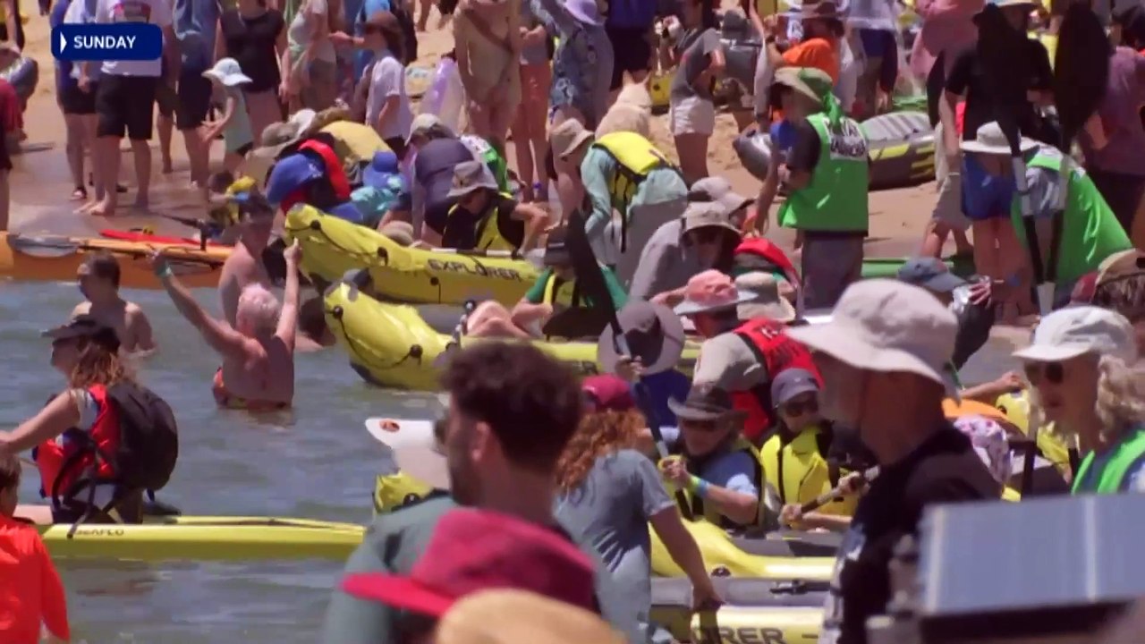Two protesters granted bail after blocking coal port shipping channel during anti-fossil fuels protest in Newcastle