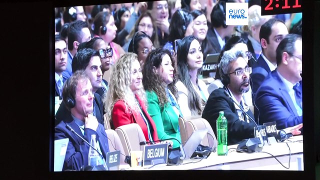 El legado de la COP29 de Bakú: ¿Supone una nueva era para la financiación climática?