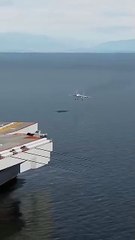 Su-33 cobra landing on aircraft carrier in DCS. _shorts(360P)