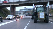 Colère des agriculteurs : une nouvelle semaine de mobilisation se lance