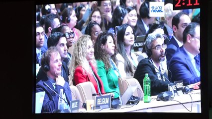 COP29 in Baku: eine neue Ära der Klimafinanzierung oder ein Tropfen auf dem heißen Stein?