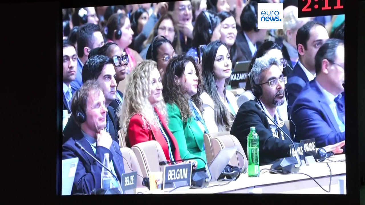 COP29 in Baku: eine neue Ära der Klimafinanzierung oder ein Tropfen auf dem heißen Stein?