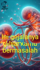 Ini tanda-tandanya ginjalmu sedang tidak baik-baik saja