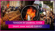 Sambhal Violence: 3 Killed In Clashes During Protest Over Shahi Jama Masjid Survey, Schools Shut