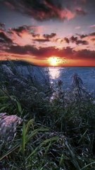 Chalne Lagi Hai Hawayein 🥰