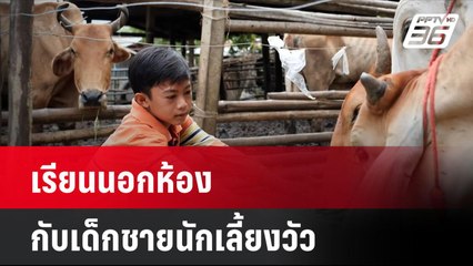 “เรียนนอกห้อง กับเด็กชายนักเลี้ยงวัว” | เที่ยงทันข่าว | 25 พ.ย. 67