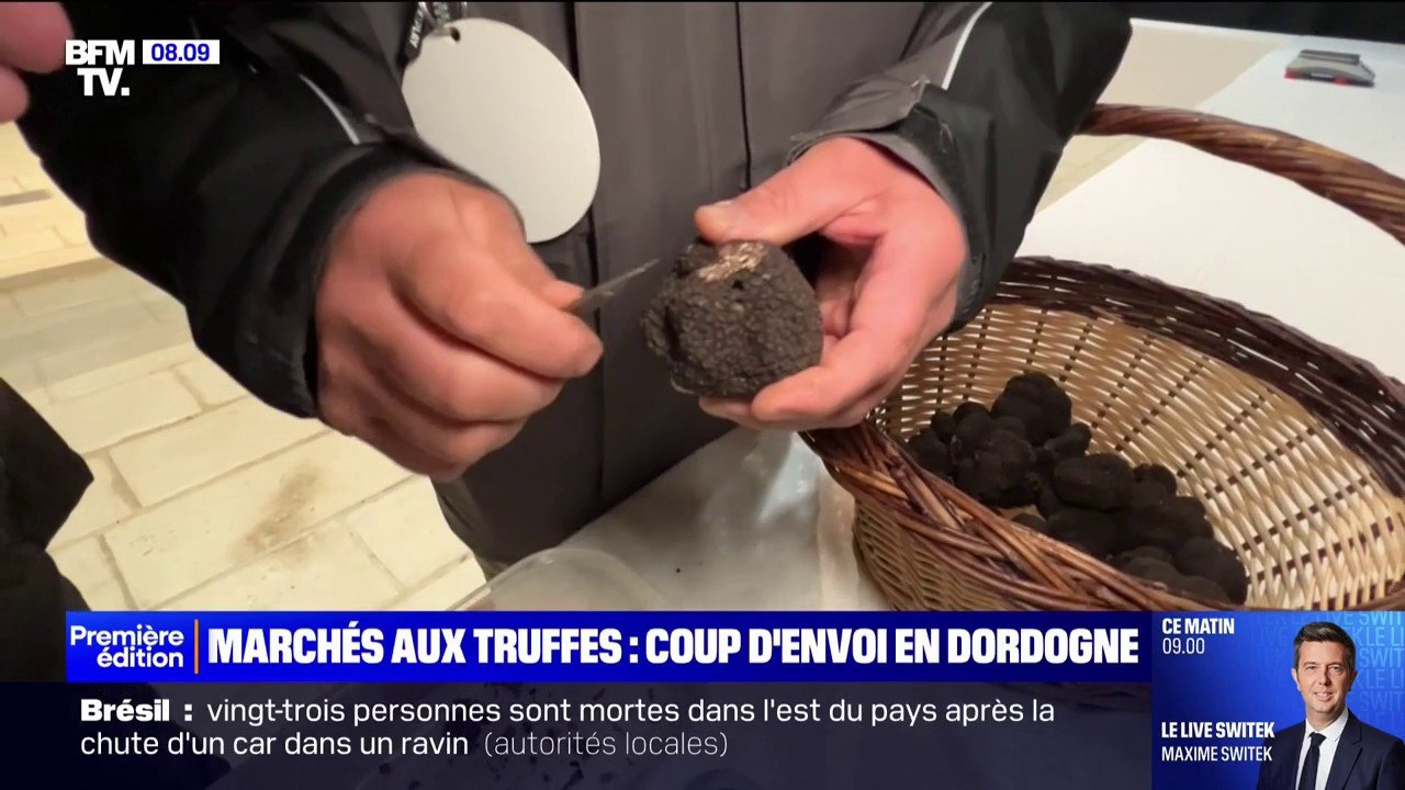 En Dordogne, la saison de la truffe est lancée avec l’ouverture du premier marché