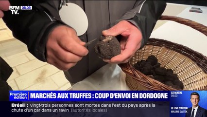 En Dordogne, la saison de la truffe est lancée avec l’ouverture du premier marché
