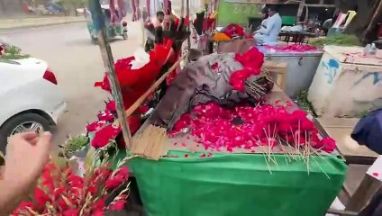 shehar mein dehat ep 96 2024 animal mini zoo Baby Goats Ka Welcome kia Mini Zoo Main