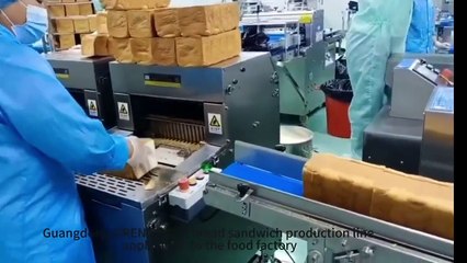 small pocket bread sandwich production line with packing machine