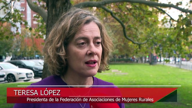 Hoy se celebra el Día Internacional de la Eliminación de la Violencia contra la Mujer