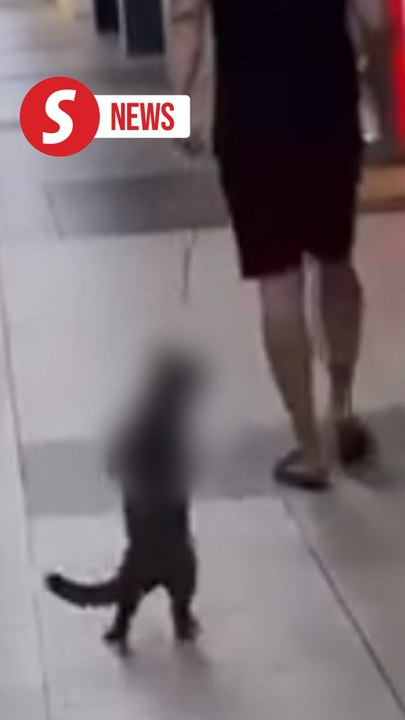 Cops nab man for abusing cat