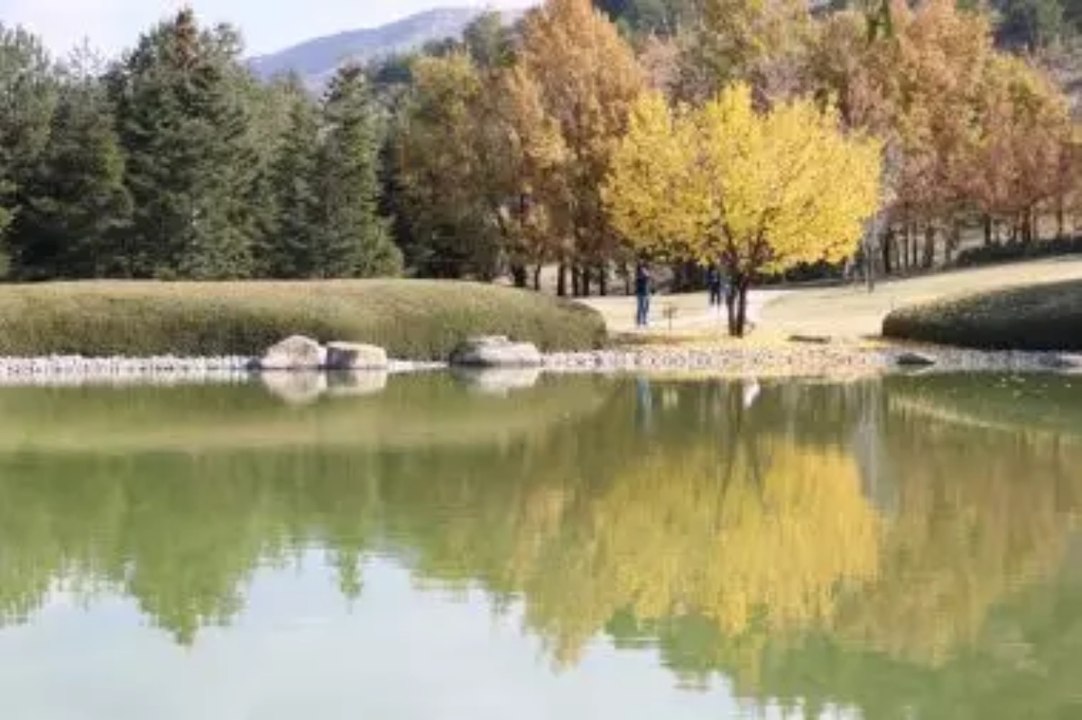 Bozkırın ortasındaki Japon bahçesi! Sonbahar renkleriyle büyülüyor