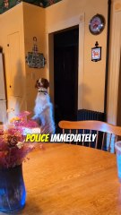 Most Beautiful Story on Internet 😄 A Women and a Dog Story True story