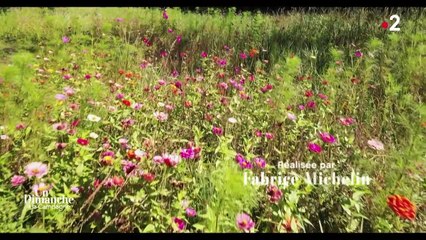 Le sommaire de la 50e d'"Un dimanche à la campagne" sur France 2