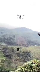 Cet agriculteur devrait se méfier des drones