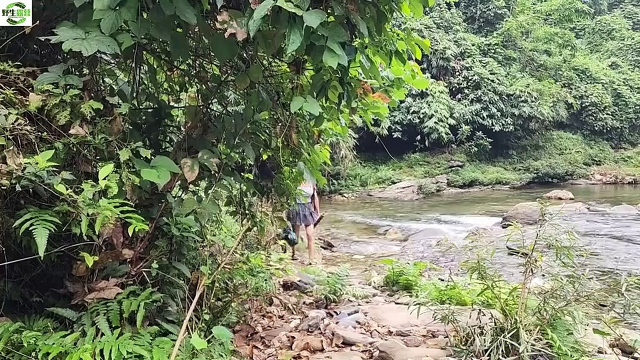 野生露营的-Wild camping 1