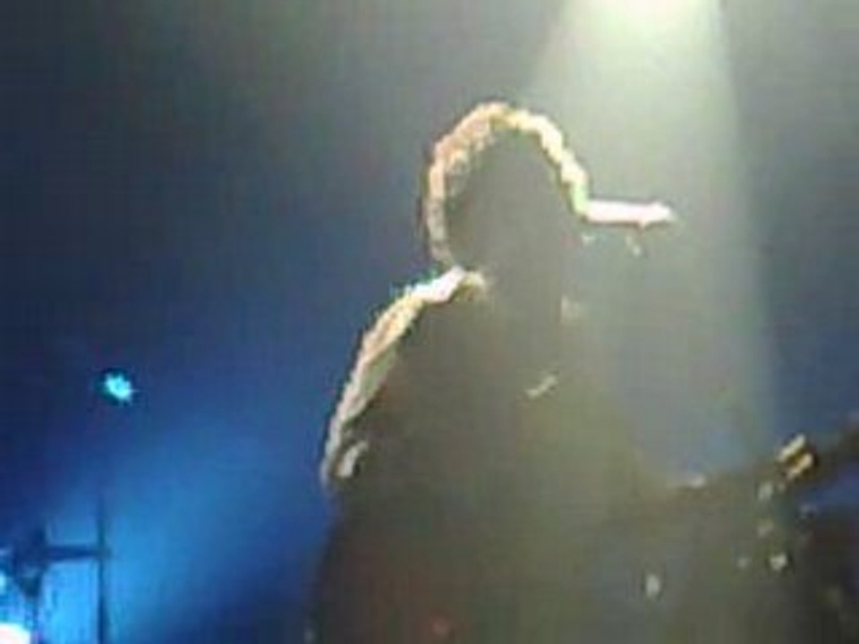 Wolfman BB Brunes