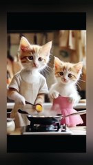 Cut cat | cat | super cat | cat video