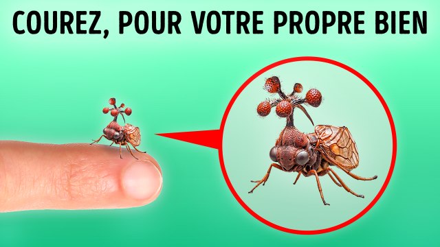 Moments D'alerte Rouge : Échappez-vous Avant Qu'il Ne Soit Trop Tard