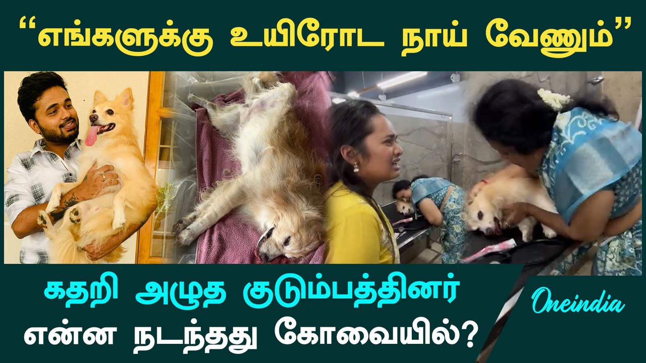 11 ஆண்டுகளாக வளர்த்த செல்ல பிராணியை இழந்த குடும்பம்! நடந்தது என்ன?