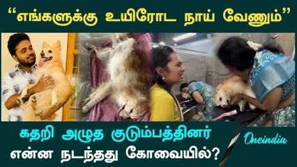 11 ஆண்டுகளாக வளர்த்த செல்ல பிராணியை இழந்த குடும்பம்! நடந்தது என்ன?