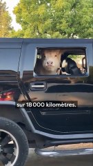 Ici tu apprends à connaître la planète !