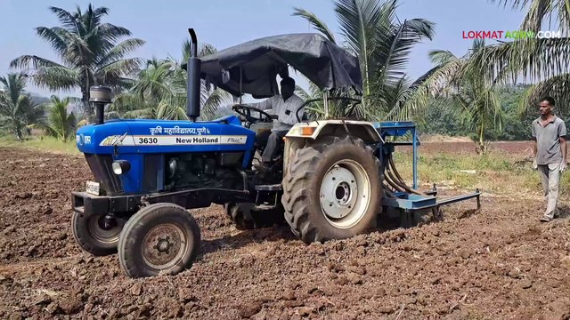 राजमा पीक लागवडीची योग्य वेळ कधी आहे? वेळ निघून गेली का?