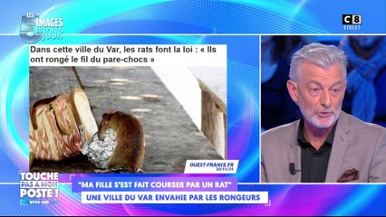 Une ville du Var envahie par les rongeurs