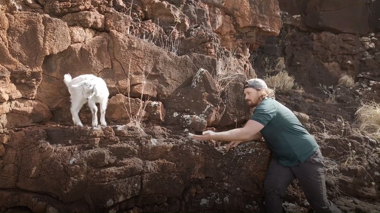 Auf einer Klippe festsitzendes Ziegenbaby von barmherzigen Samaritern gerettet