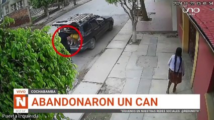 Video: ¡Lo abandonó! Un conductor de taxi abandonó a su mascota en medio de la avenida