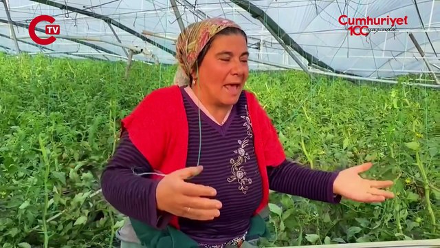 Antalya Ziraat Odası Başkanı Nazif Alp: 'Bölgeyi tekrar ayağa kaldırmak için çiftçiye 4 yıllık faizsiz kredi verilmeli'