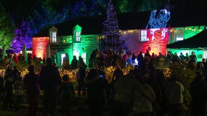 Newquay lantern parade to Trenance Cottages