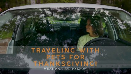 Traveling with Pets for Thanksgiving: Top Safety Tips You Must Know