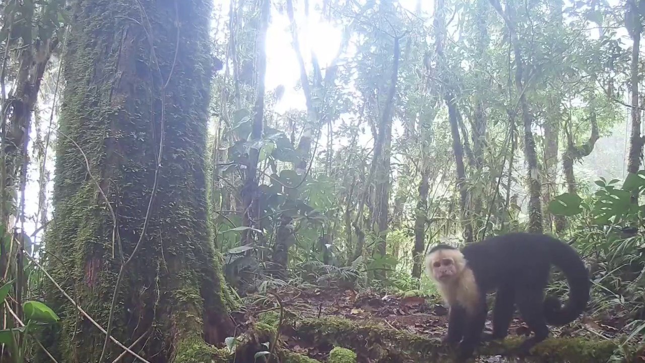 tn7-plan-pretende-mitigar-efectos-de-cambio-climatico-en-areas-protegidas-251124