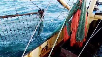 trawler wars uk E6