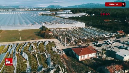 Antalya'da fırtına tarım arazilerini vurdu