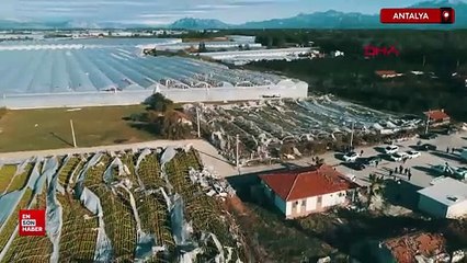 Antalya'da fırtına tarım arazilerini vurdu