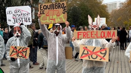 Nouvelle mobilisation contre l'autoroute A69