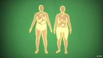 The truth about body fat, and why it is also good for you