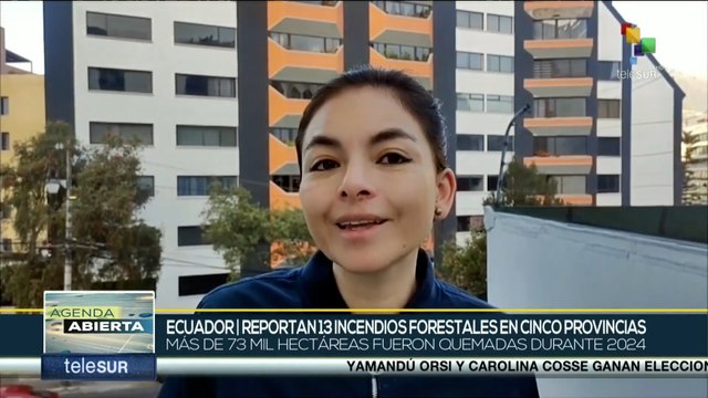 Incendios forestales azotan a Ecuador