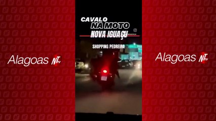 Homens são flagrados transportando cavalo em motocicleta em interior do RJ