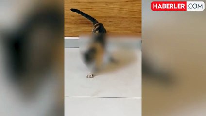 Devlet hastanesinde mide bulandıran görüntü