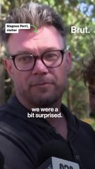 Lions escape during overnight zoo event