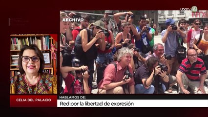Red por la libertad de expresión: Celia del Palacio