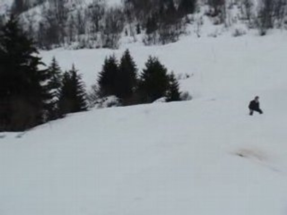 MOV02350 ski