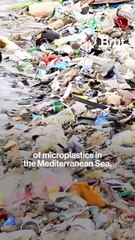 171 trillion plastic particles in the ocean