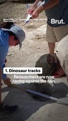 Droughts are uncovering fossils and old landmarks