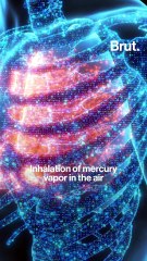 7 simple questions about mercury